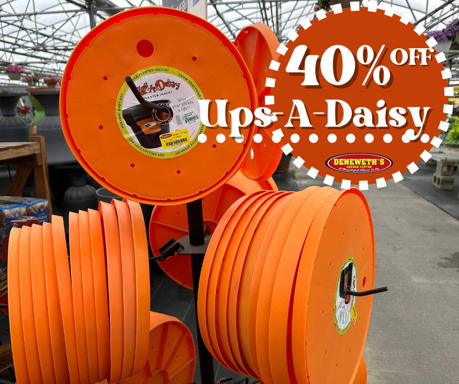 40% off Ups-A-Daisy Planter Inserts