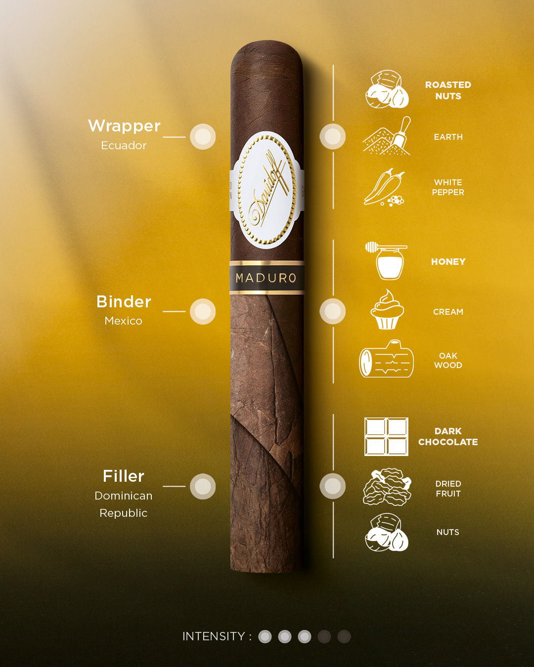 Taste banner of the Davidoff Maduro cigar including tobacco origin, intensity and main aromas.