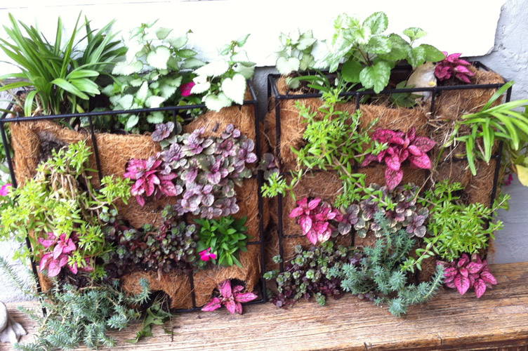 Vertical gardening