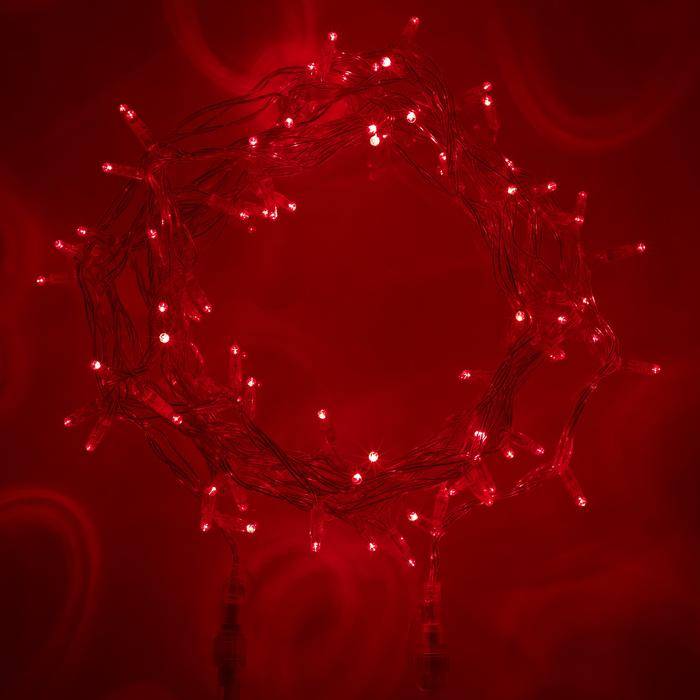Red fairy lights illuminated