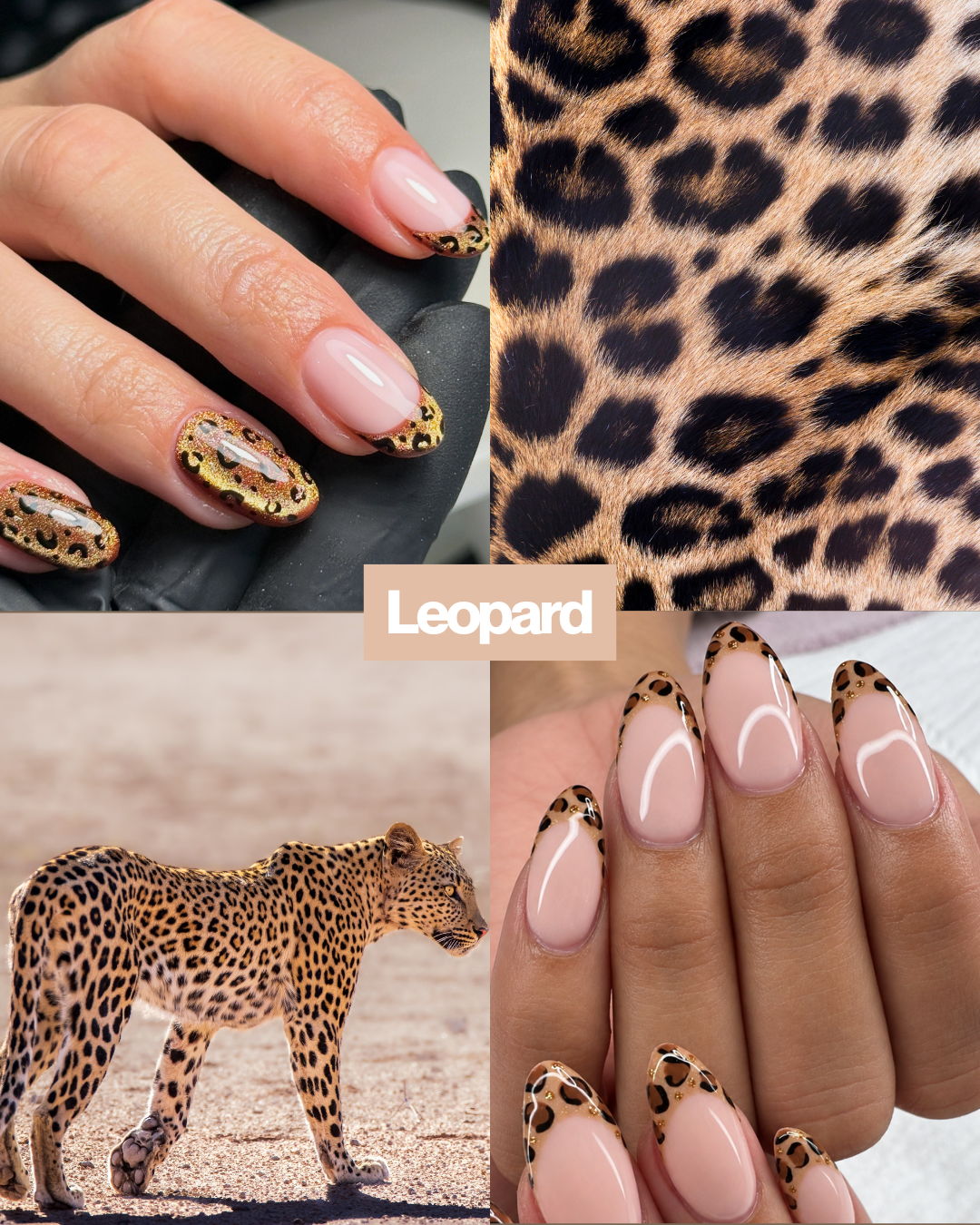 Leopard print mood board