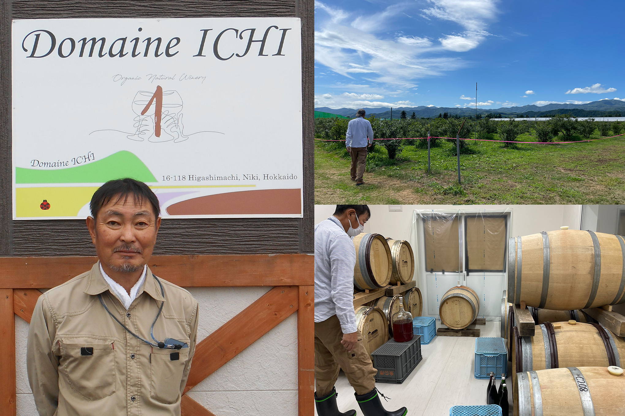 オーガニックワインの先駆者、上田一郎(うえだいちろう)さん。新設した話題のワイナリー『ドメーヌ・イチ』は、ファーストヴィンテージから即完売が続出。