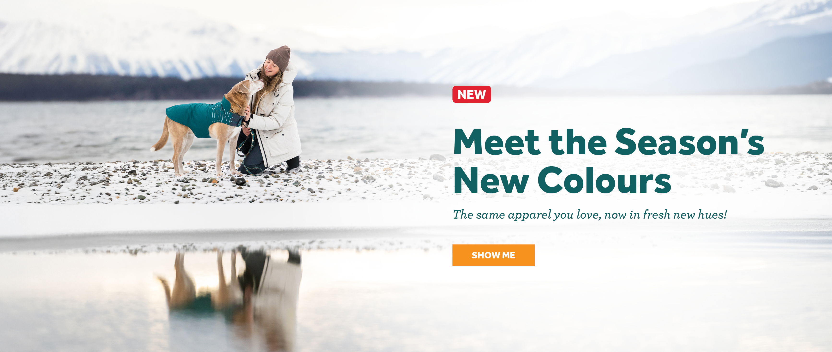 A person and a dog on a snowy landscape with a promotional text.