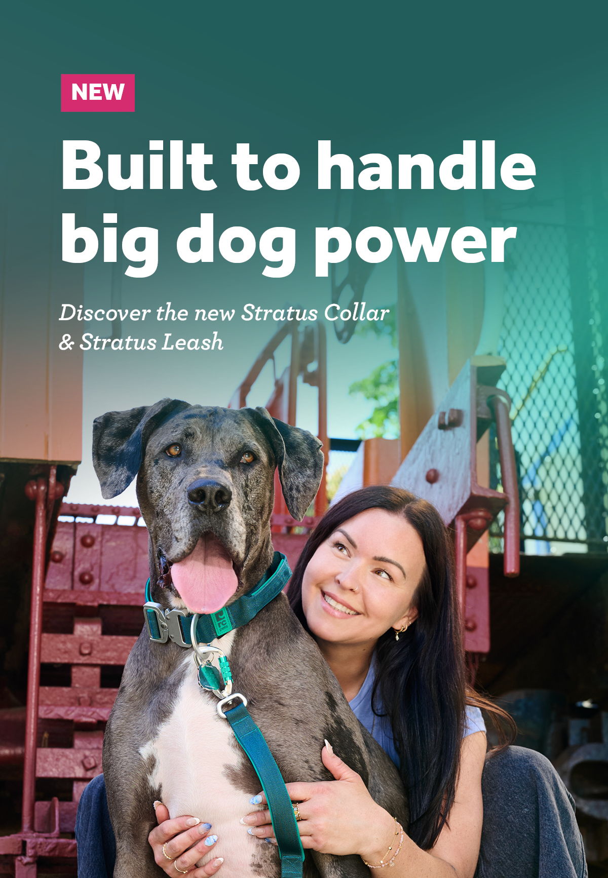 A woman with a large dog promoting a new collar and leash.