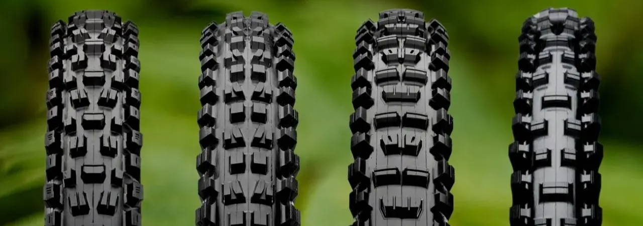 Maxxis Assegai Minion DHF  Minion DHR II Shorty Maxxis mountain bike front tire comparison review vs versus detail of tire tread pattern on a fern background