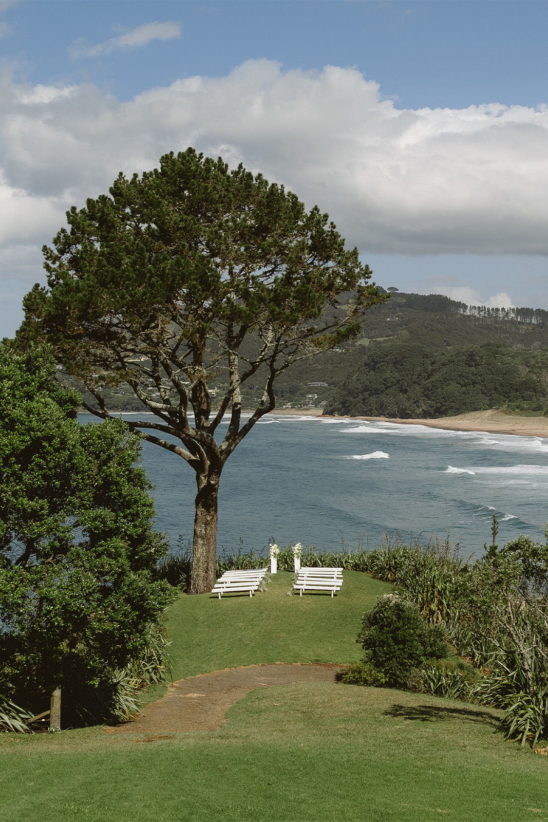 Scenic view of a beach with a tree and lounge chairs.
