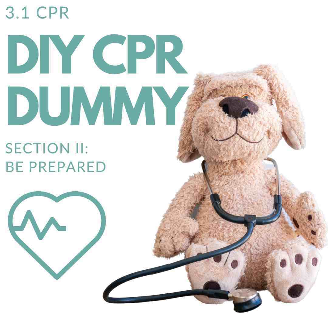DIY make your own CPR dummy veterinary first a id pet