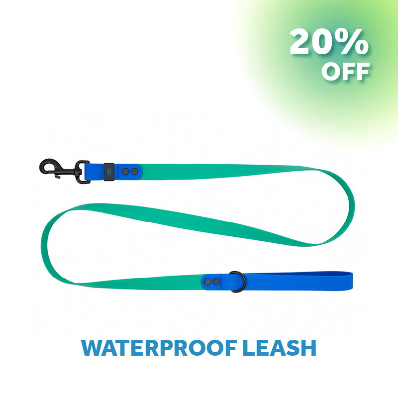 Waterproof leash with a 20% discount offer.