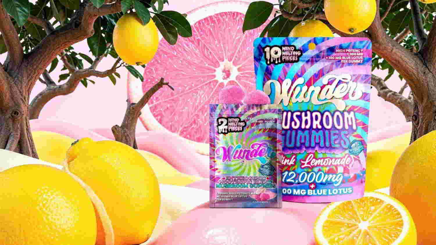 Colorful packaging of mushroom supplement surrounded by fruit and vibrant background.