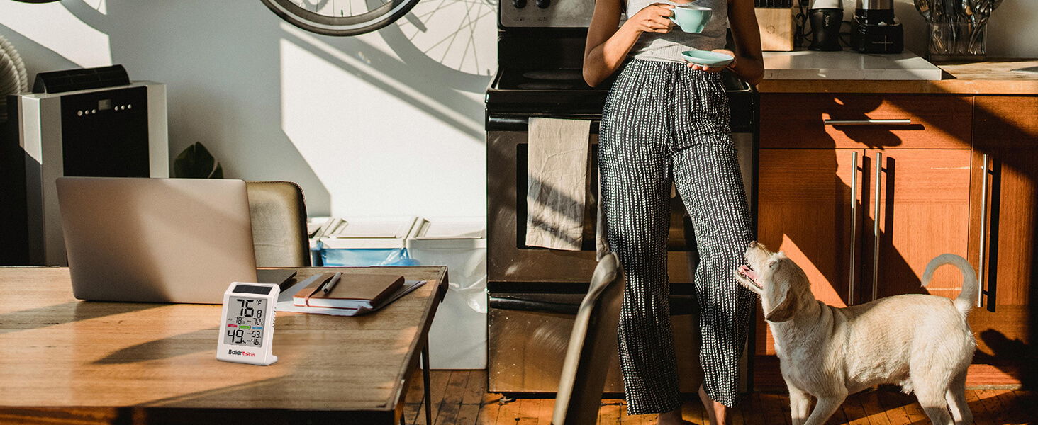 A workspace with a laptop and a person standing with a dog.