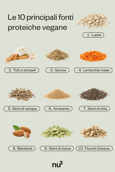 Le 10 migliori fonti proteiche