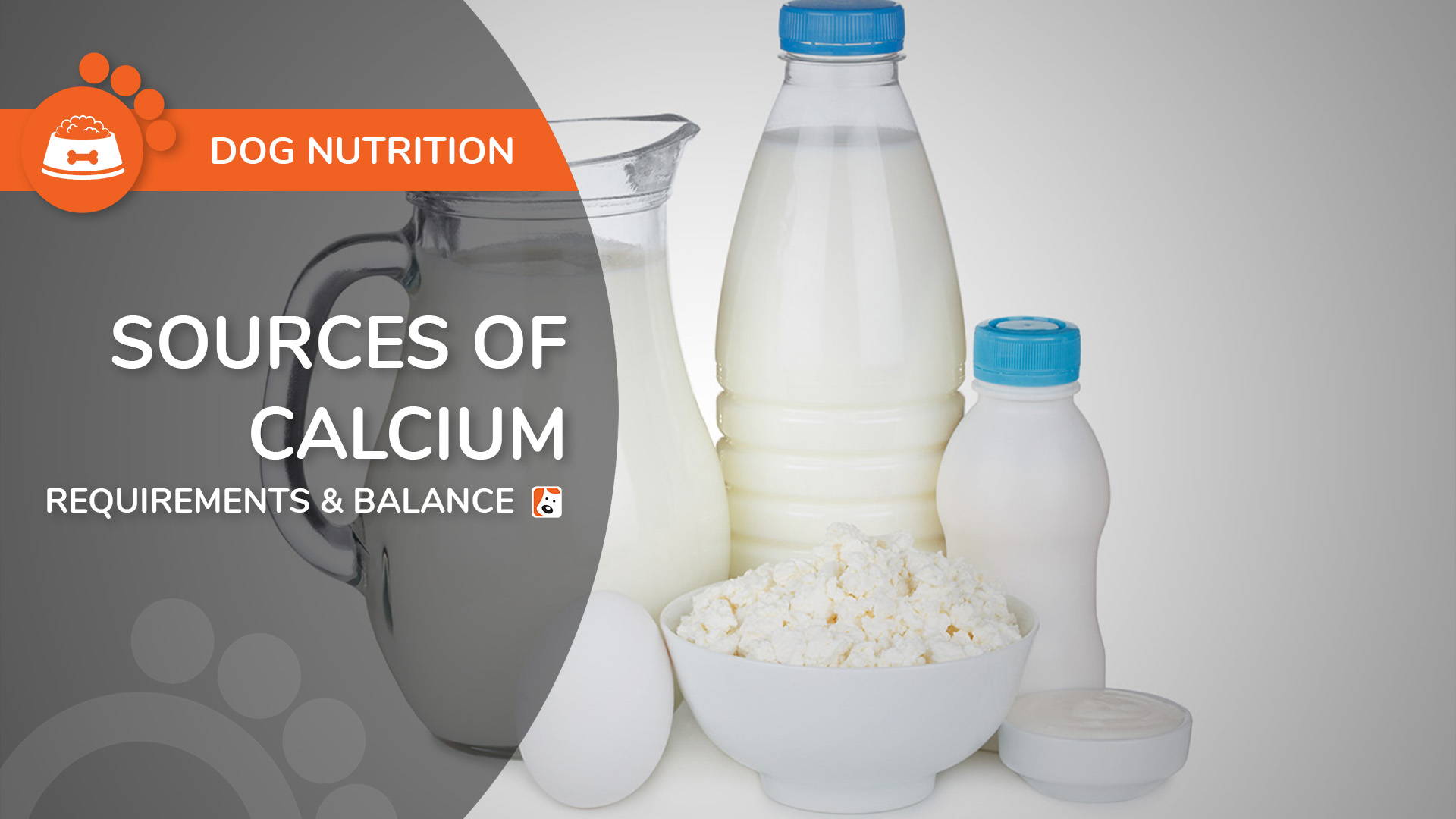 Source of Calcium for Dogs