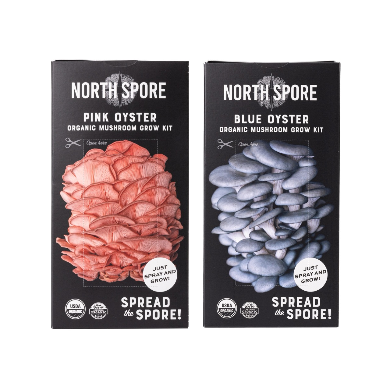 Two mushroom growing kits: Pink Oyster and Blue Oyster by North Spore.