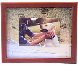 A framed photo of a person with a dog outdoors.