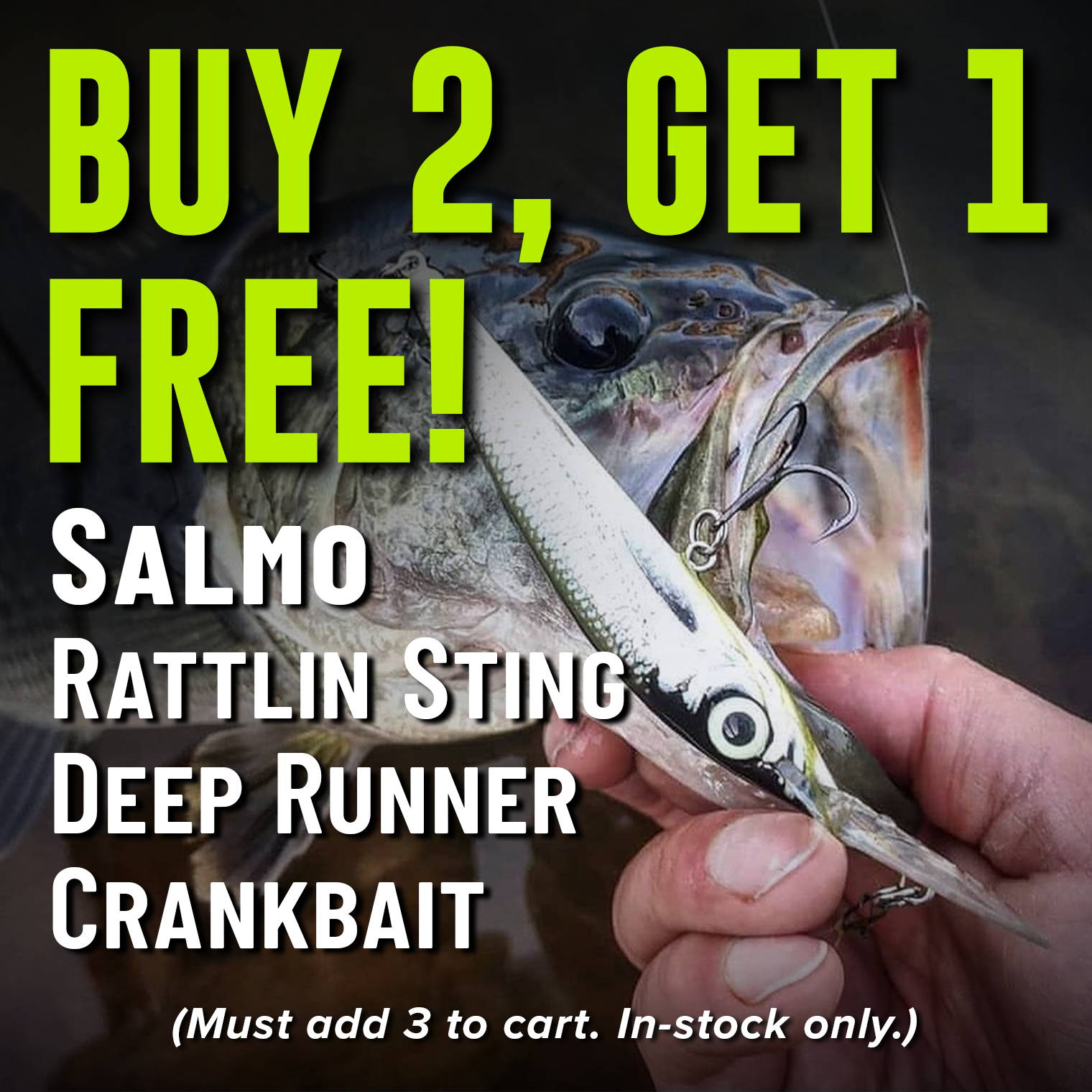 Buy 2, Get 1 Free! Salmo Rattlin Sting Deep Runner Crankbait (Must add 3 to cart. In-stock only.)