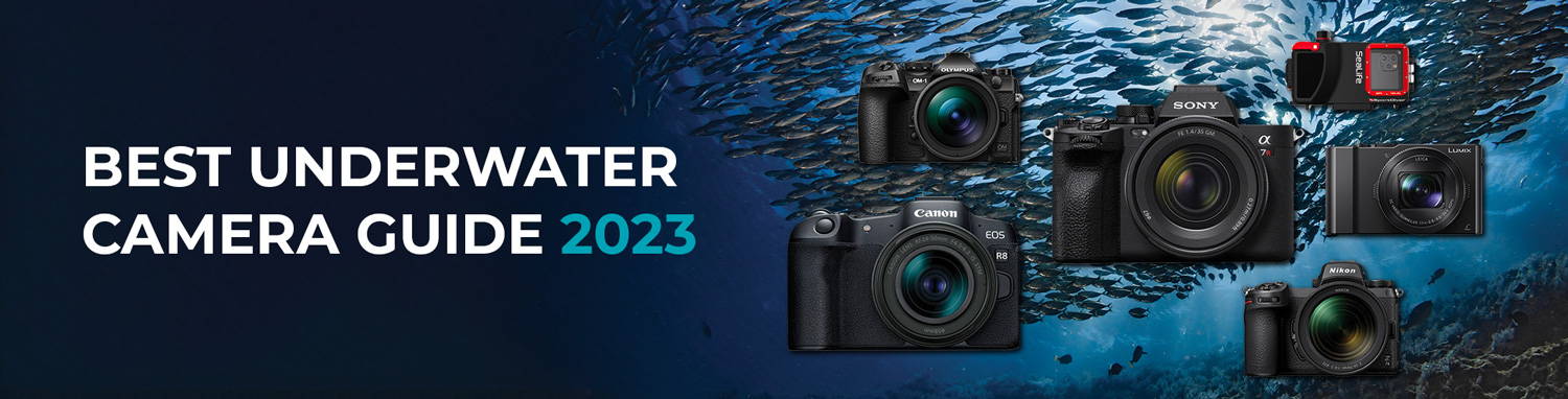 schotel Geldschieter Een goede vriend Best Underwater Cameras in 2023