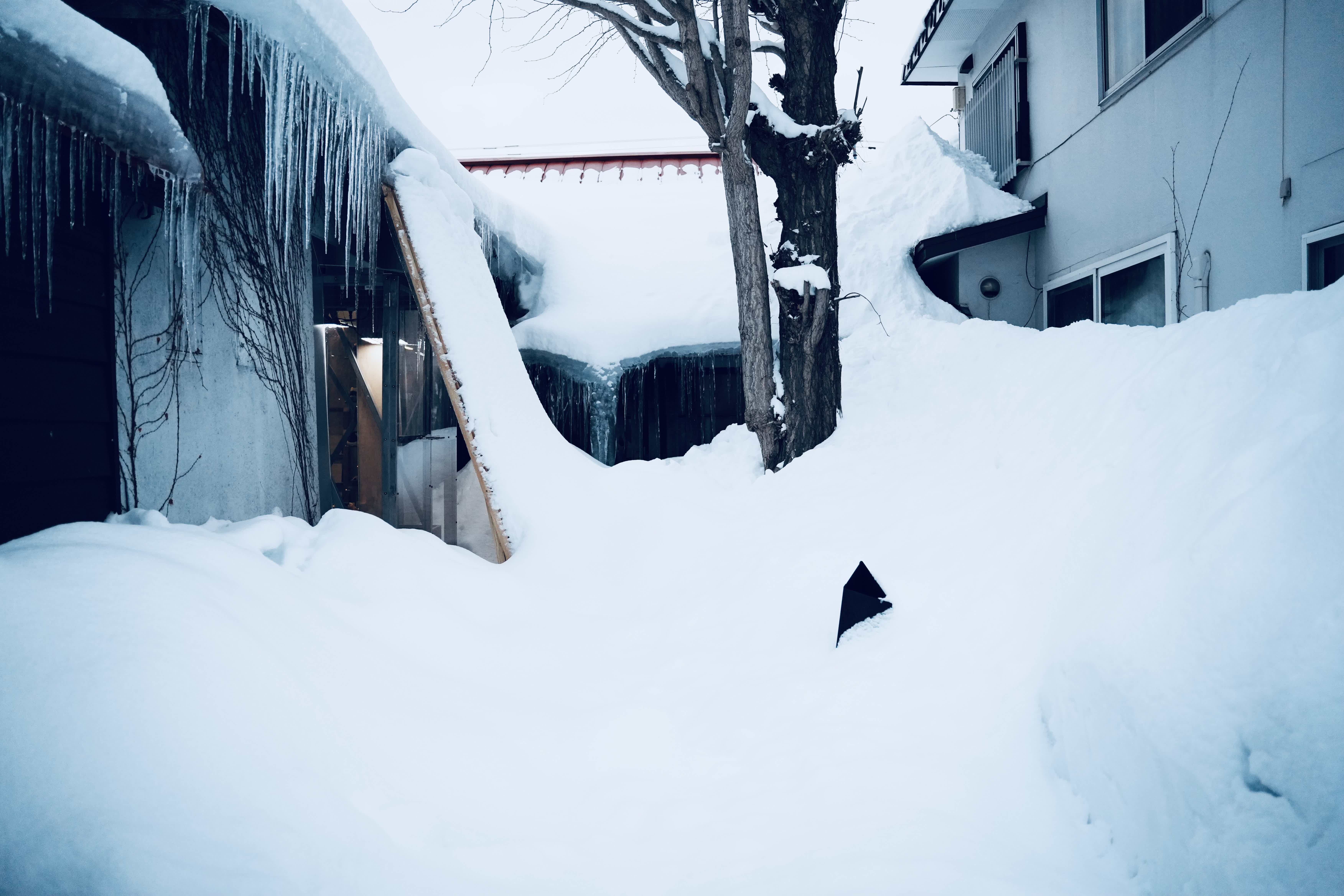 Snow-covered area with buildings and a tree, icicles hanging down.