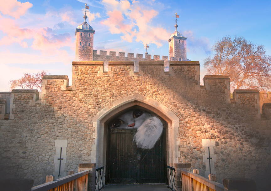 A giant white/grey cat reaches out from inside the Tower of London wanting the gate open