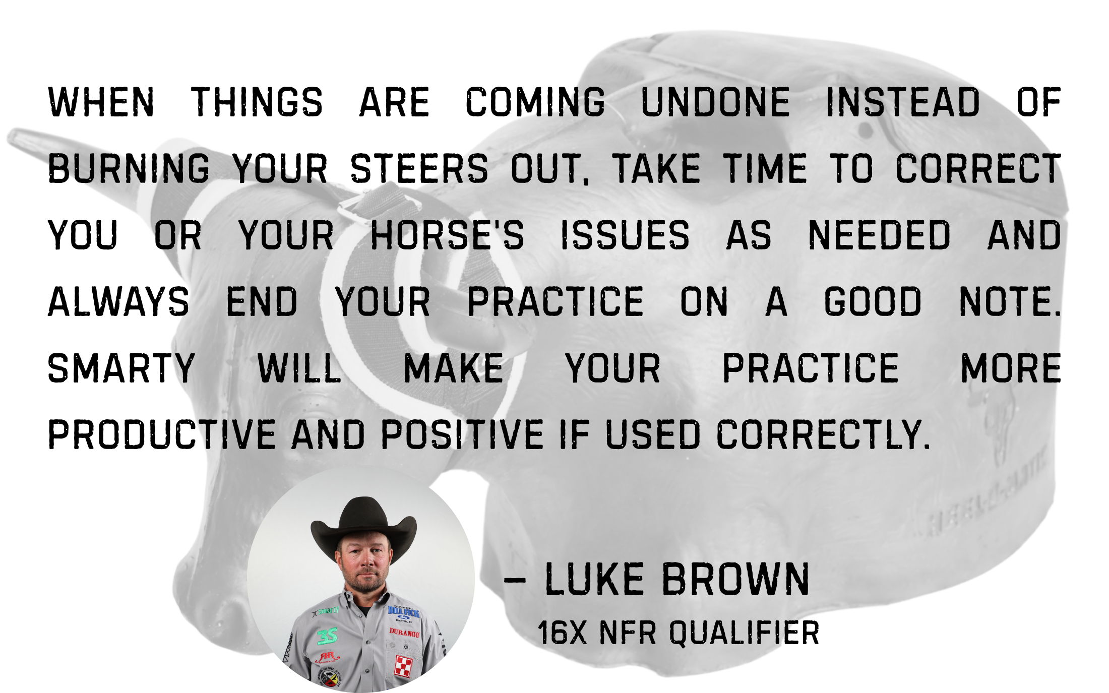 Quote by Luke Brown on practice and corrections in horsemanship.