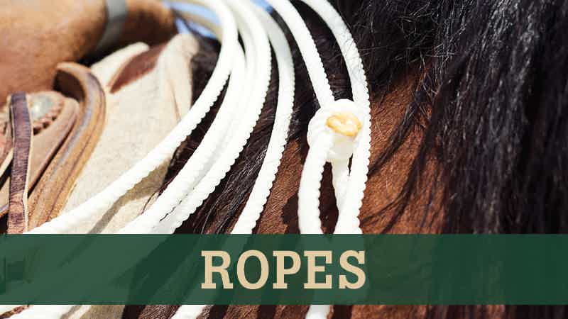 up close photo of a horse with a team rope attached to the saddle rigging with text 