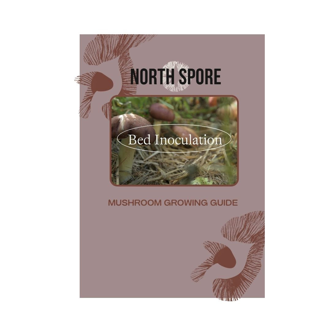 Mushroom bed inoculation instructions