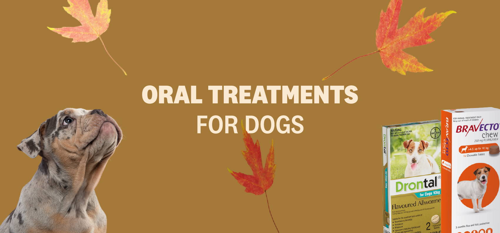ORAL TREATMENTS FOR DOGS