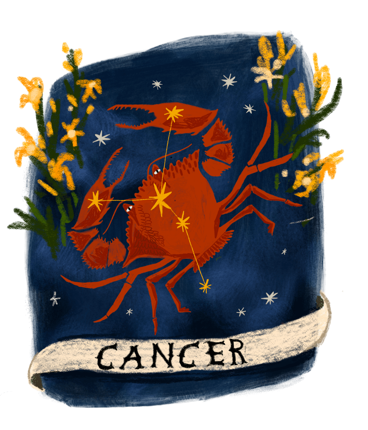 An illustration of the Cancer star sign.