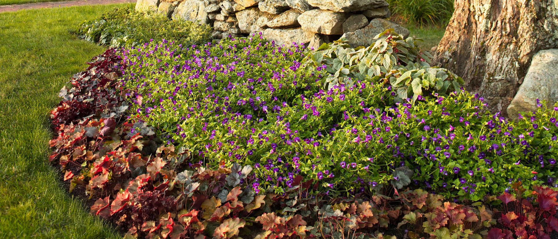 Landscape photo scene of Dolce® Toffee Tart and Catalina® Pink