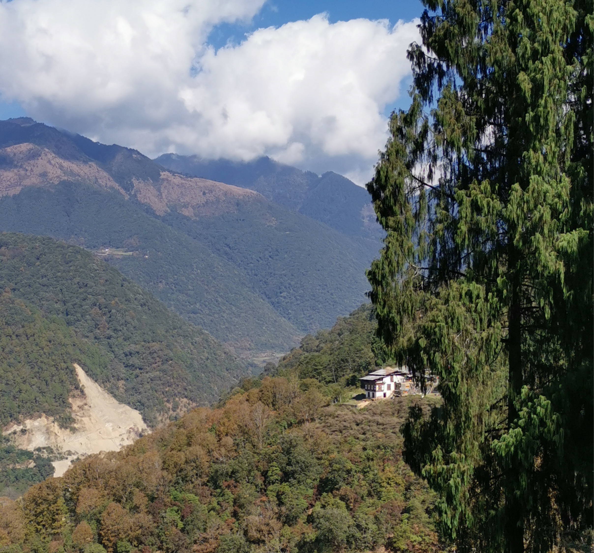 hillside in bhutan