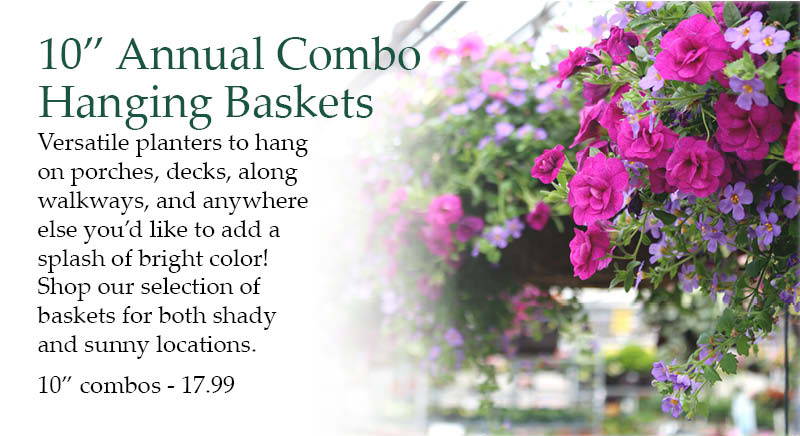 10-inch Annual Combo Hanging Baskets - Versatile planters to hang on porches, decks, along walkways, and anywhere else you’d like to add a splash of bright color! Shop our selection of baskets for both shady and sunny locations. | 10-inch combos - $17.99