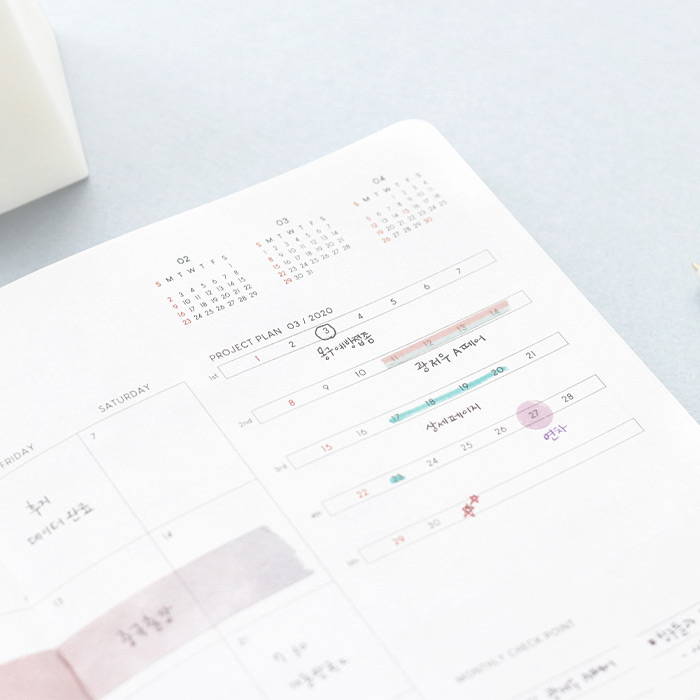 Monthly plan - ICONIC 2020 Brilliant dated daily planner scheduler