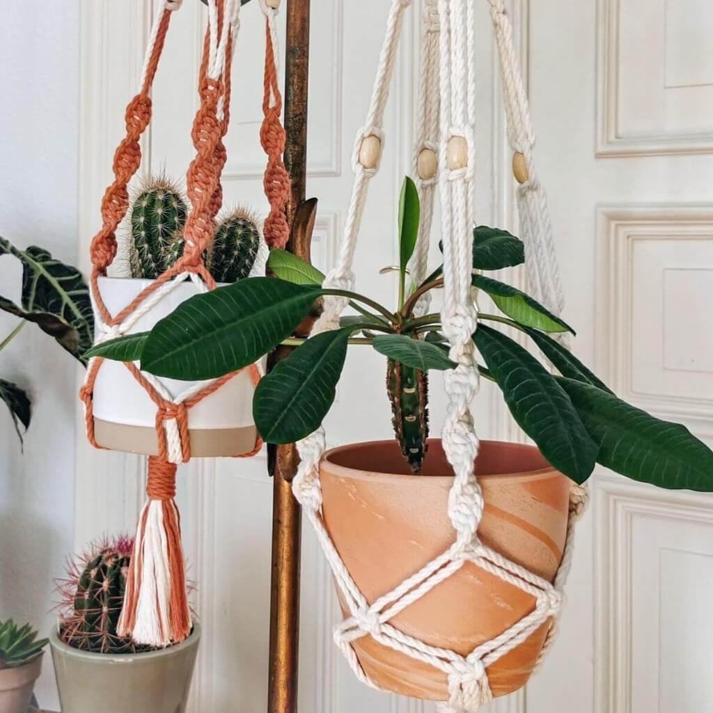 Makramee Blumenampel mit Kakteen und grünen Blättern in einem hellen Raum.