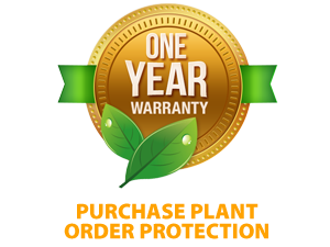 1 Year Warranty