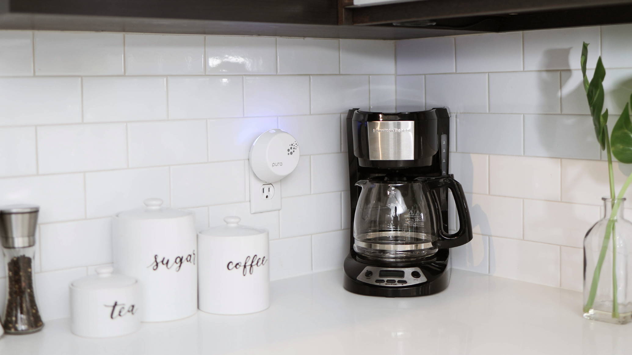 Pura device in Kitchen