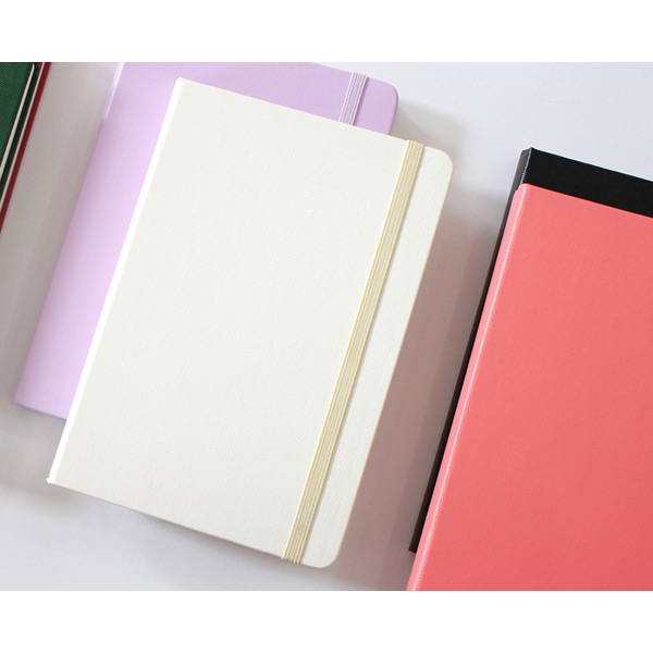 Vinyl paper leather cover - 2020 Prism Slim Diary