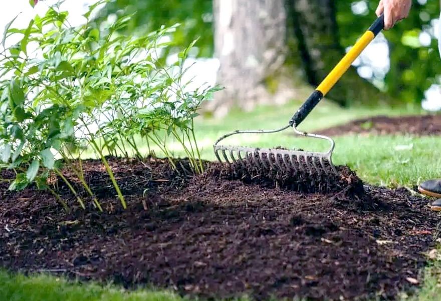 Person using a rake on a garden bed with fresh soil.
