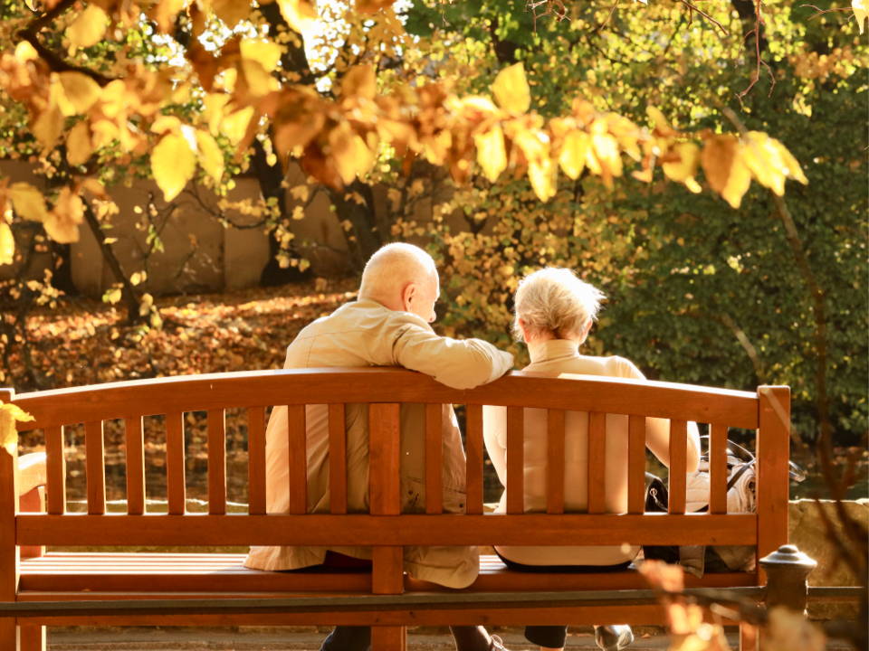 Senior Couple enjoying fall folliage on a park bench.