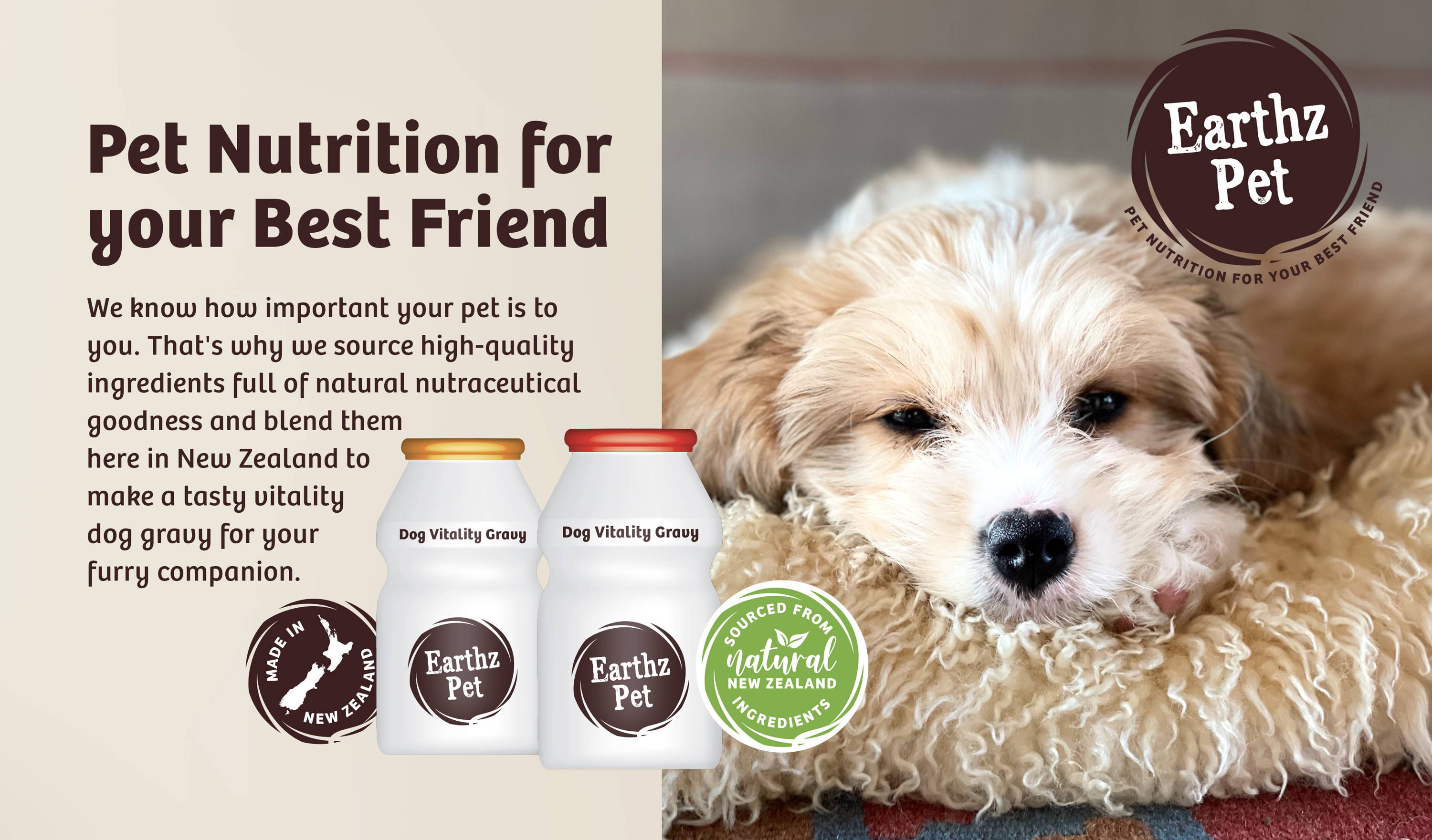 Pet Nutrition for your Best Friend