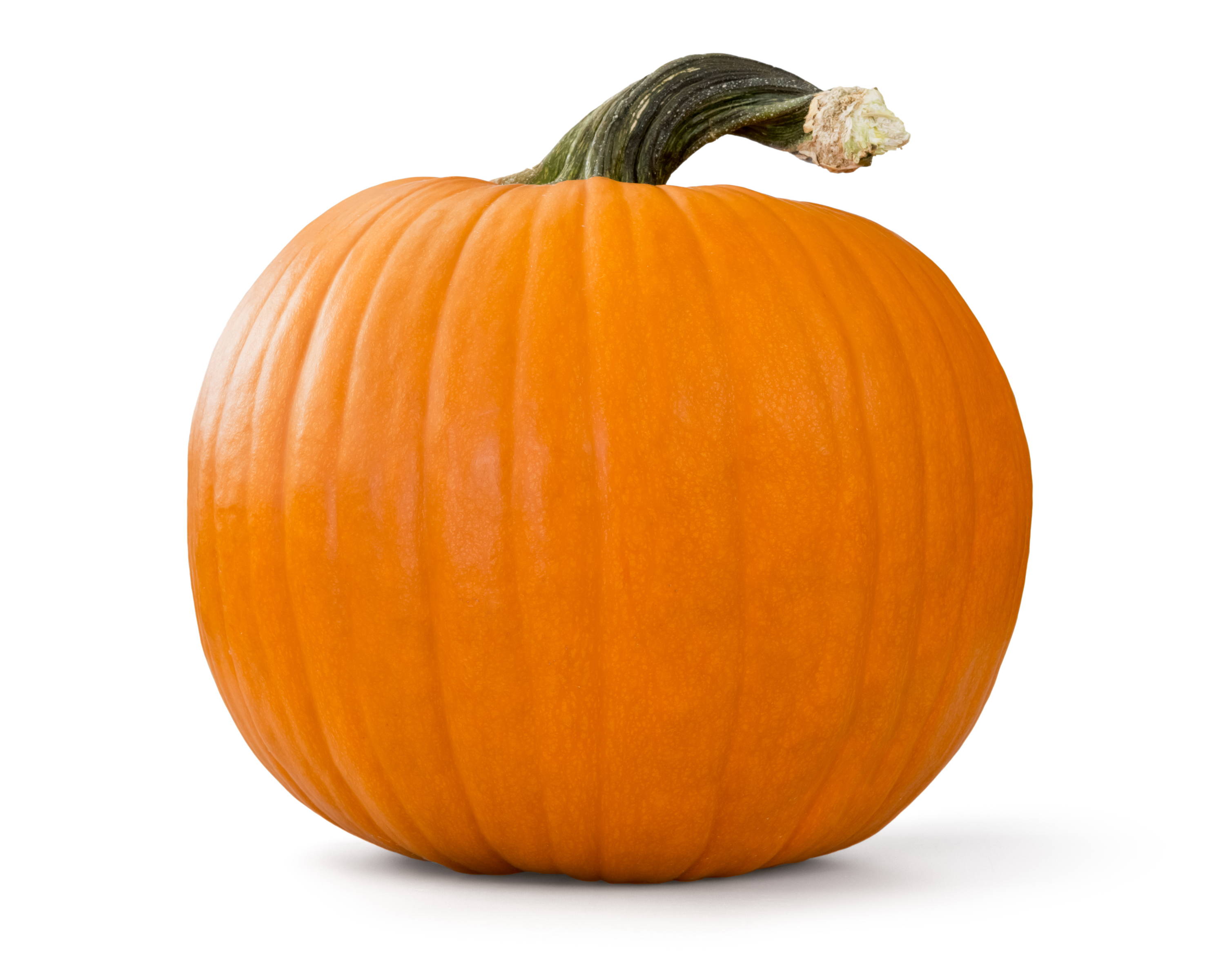 an orange round pumpkin