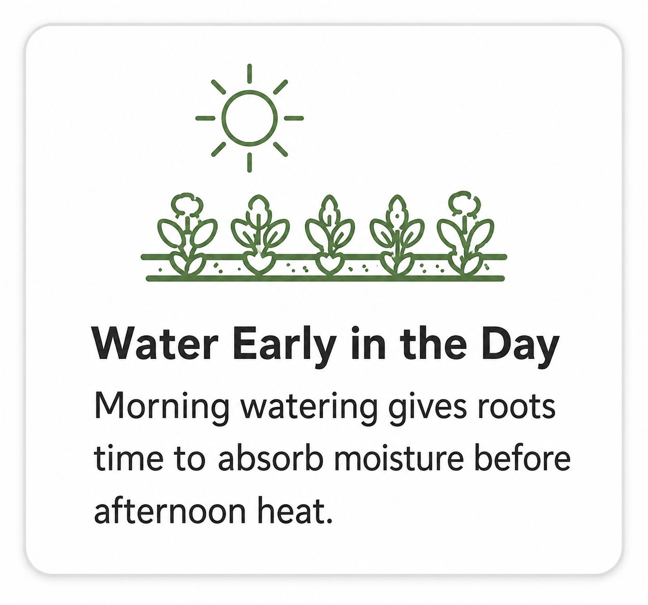 Illustration of plants with sun, text about morning watering benefits.