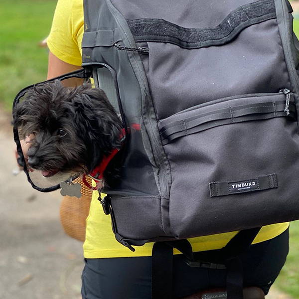 muttmover backpack