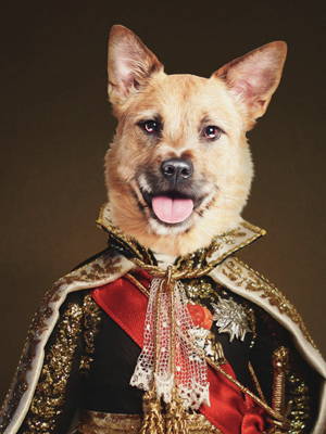 pet renaissance art