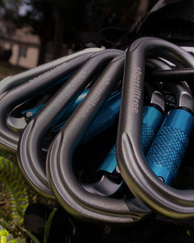 image of FREE ST 5-Pack Carabiners