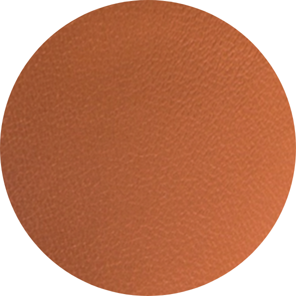 A solid orange circular shape with a textured surface.