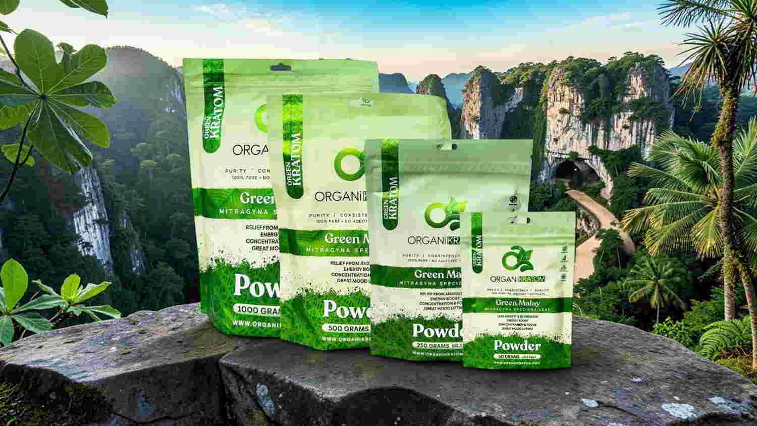 Various packages of pet food displayed against a lush, tropical background.