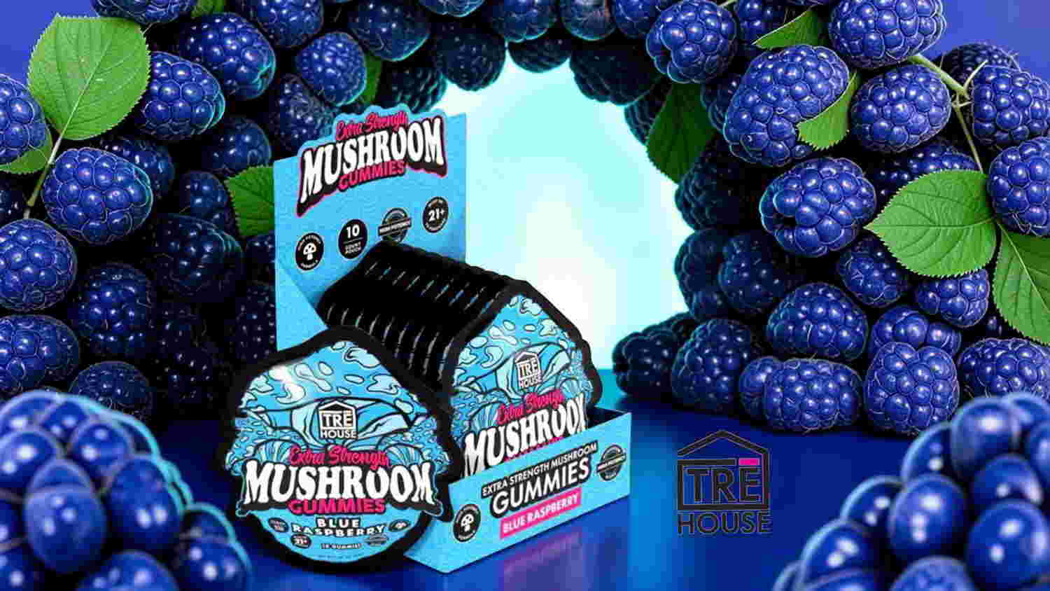 Packaging of mushroom product surrounded by blueberries and green leaves.