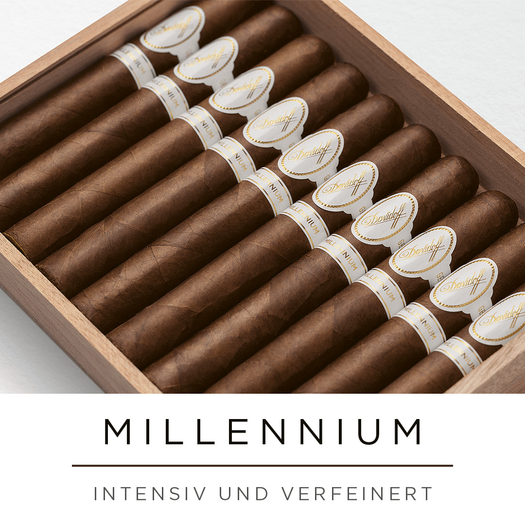 Geöffnete Holzkiste mit Davidoff Millennium Zigarren drin. 