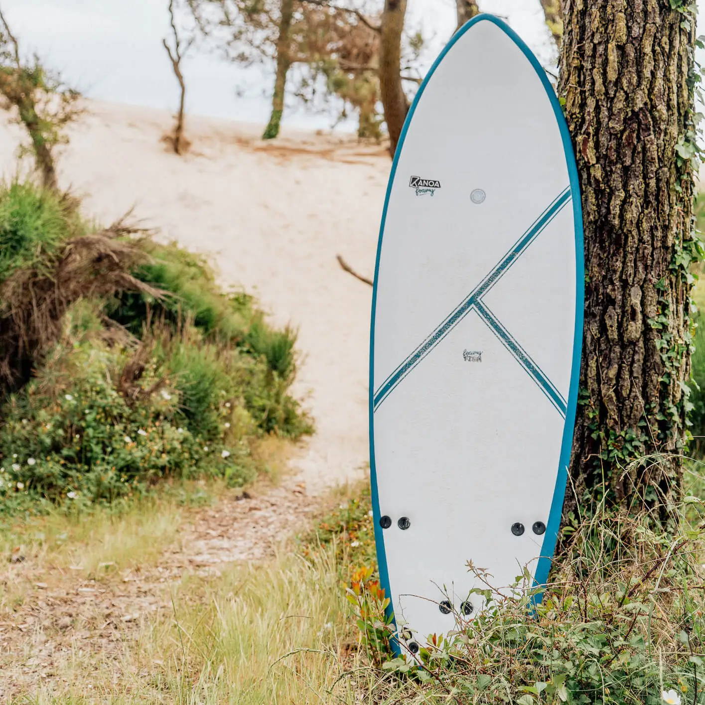 Discover our sustainable and eco-friendly performance Softtop Foamie Surfboards with durable construction