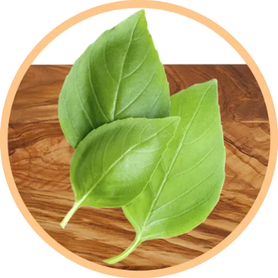 Marinelli uses fresh Basil