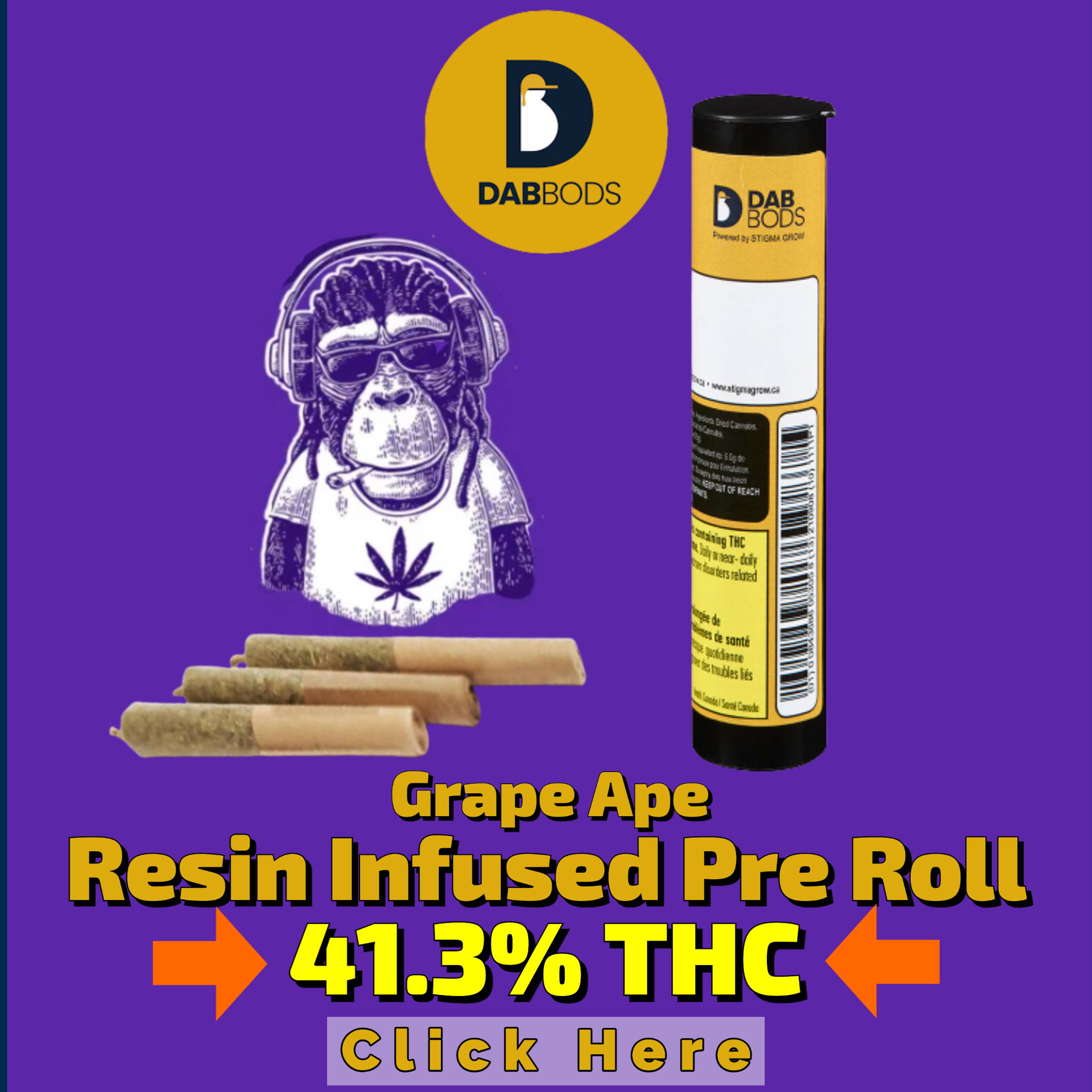 Dab Bods | Infused Pre Roll | Live Resin | High THC | Pre  Rolls | Jupiter Cannabis Winnipeg